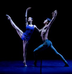 Images supplied by ACG