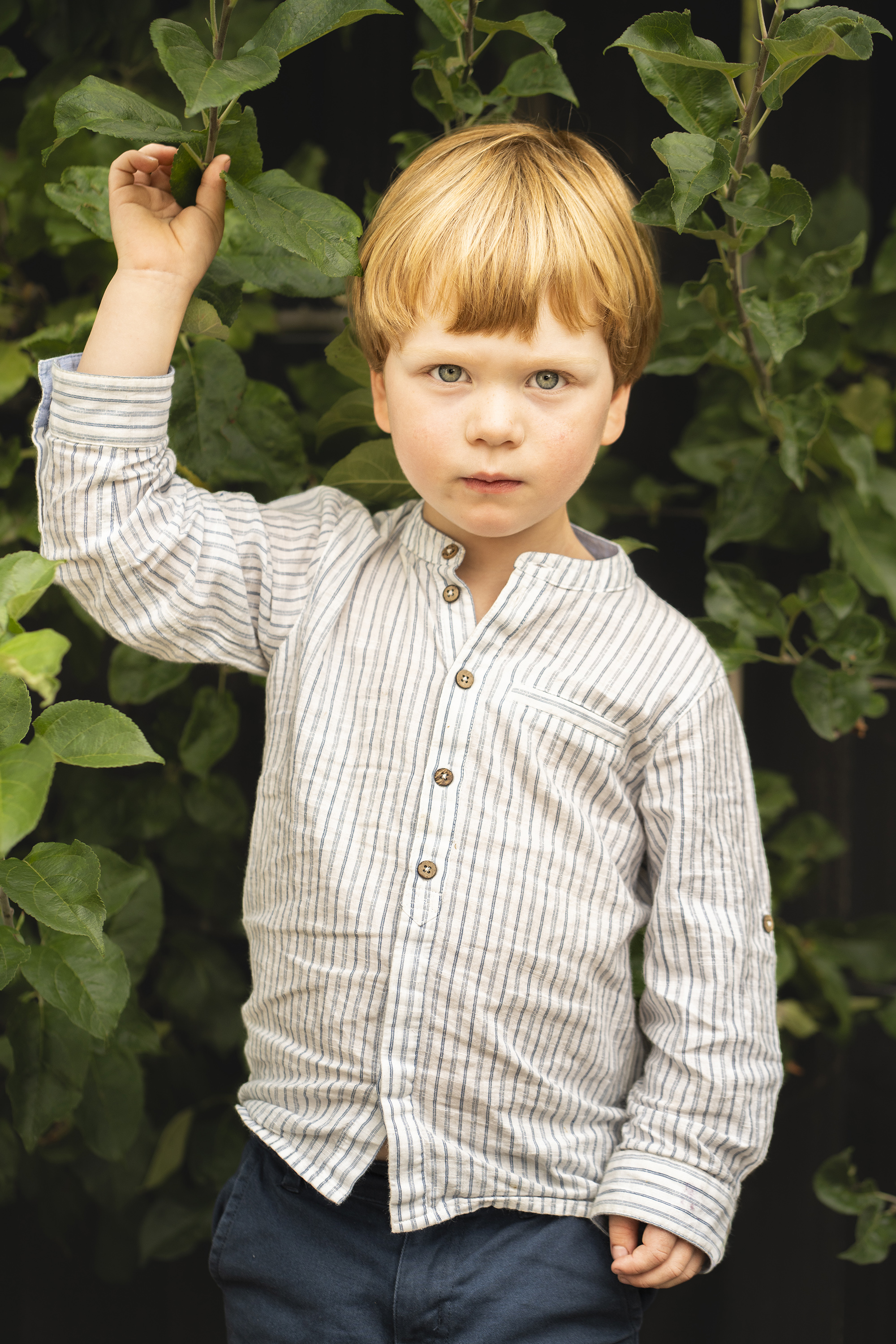 Image: Mike O'Connor