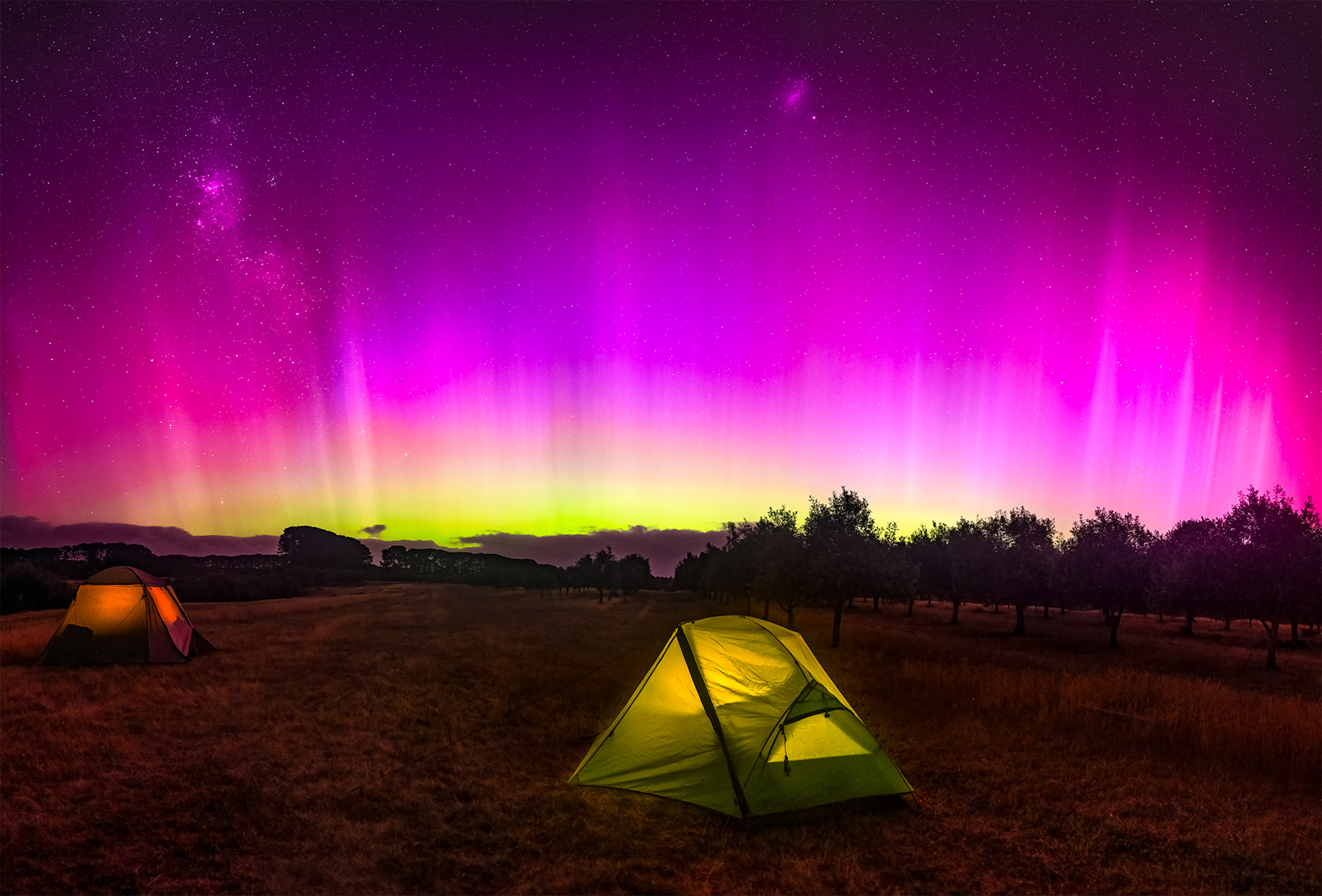 “Celestial Fireworks on New Years” – Sara AuroraeThe Otways, Victoria, AustraliaOn New Year’s Day, beneath the dark Australian sky, my friends and I were met by celestial fireworks with the Aurora Australis unfurling in a sudden, breathtaking bloom above our quiet campsite in the Otways of Victoria. Ribbons of rose, violet, and green shimmered, visible even to the naked eye, as if the universe itself had heard our resolutions for 2025 and joined in our celebration.