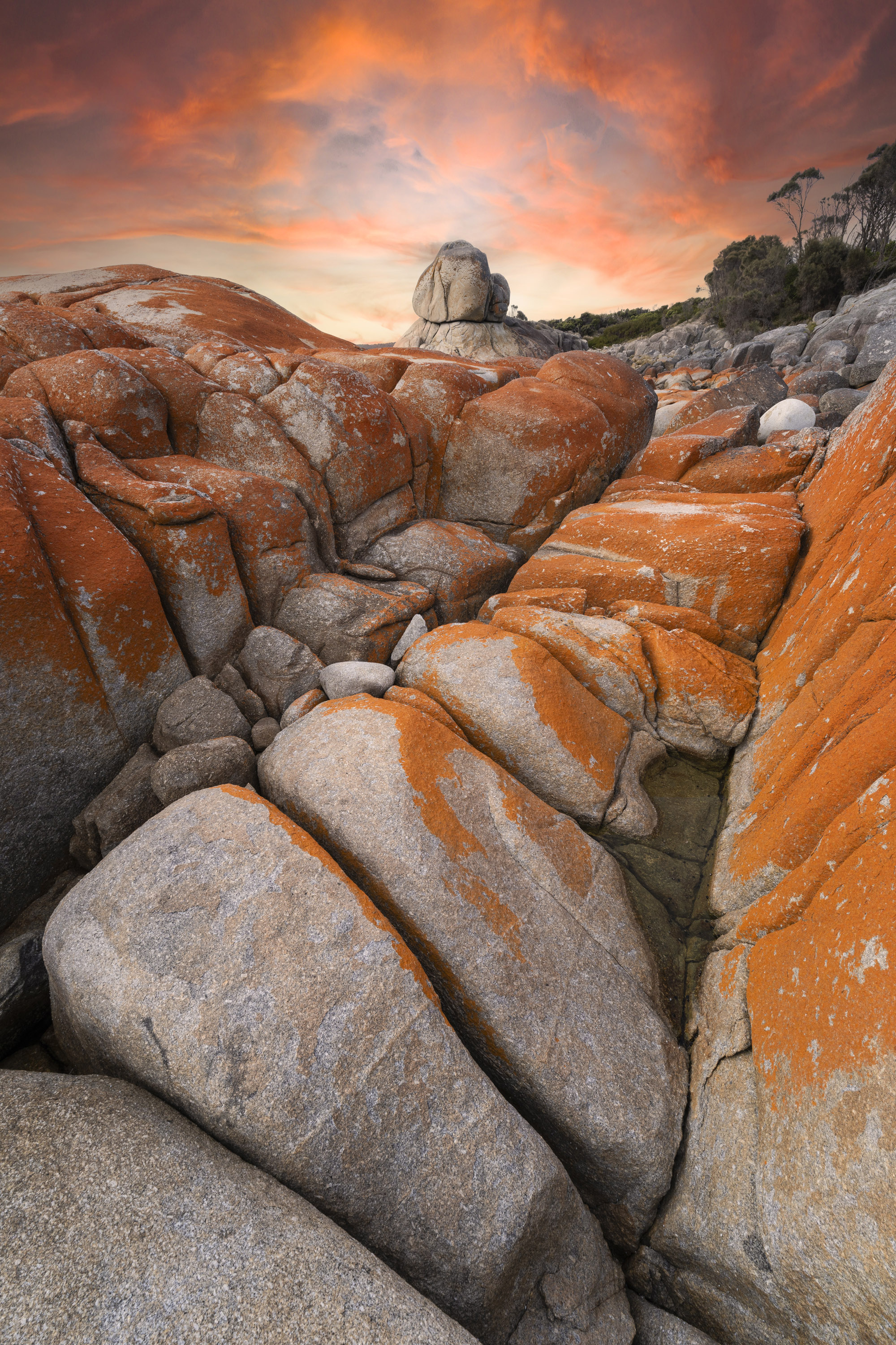 Image: Mike O'Connor