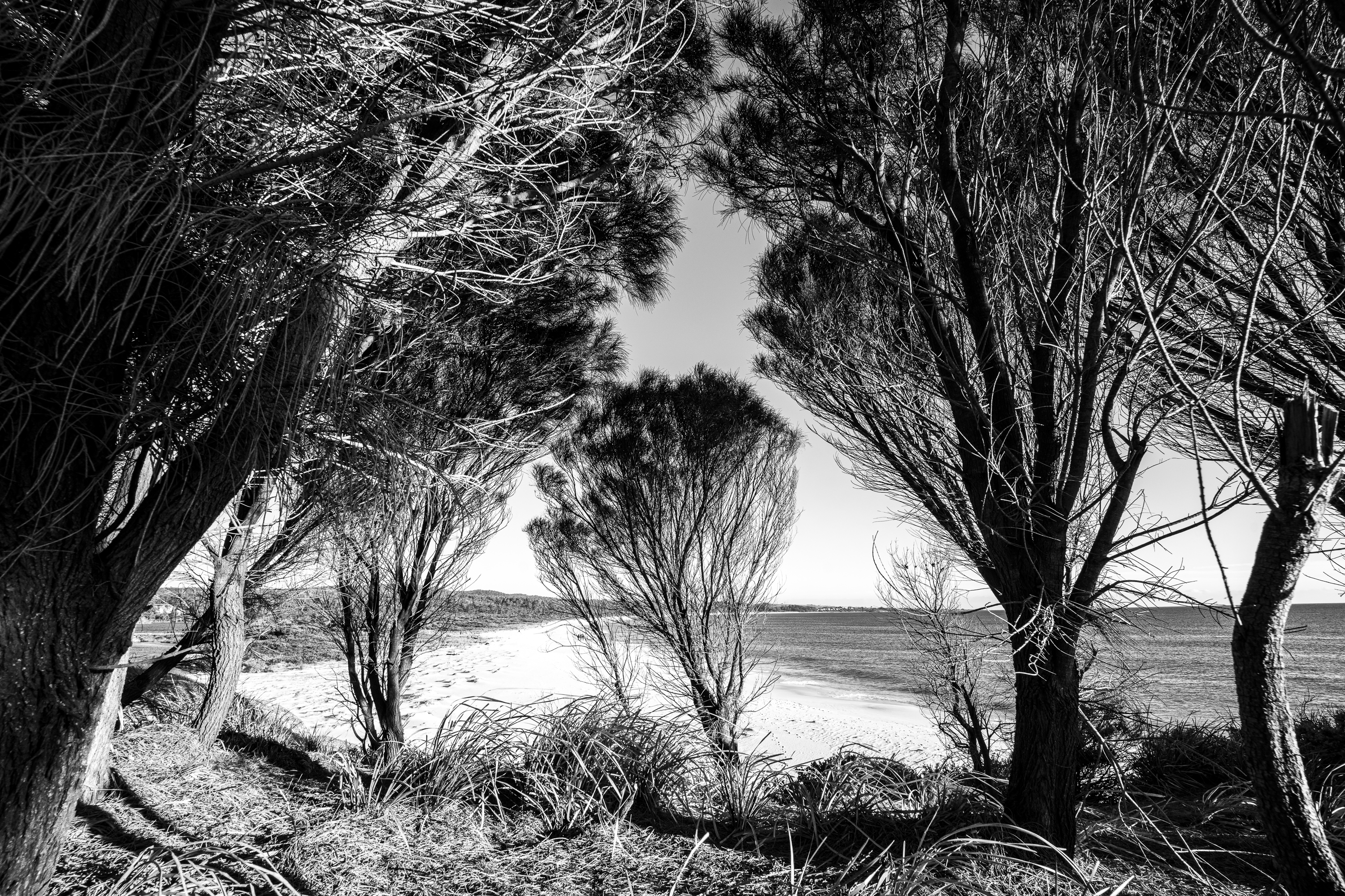 Sony A7 IV, Viltrox 14mm F4.0 FE lens. 1/100s @ f9, ISO 200.