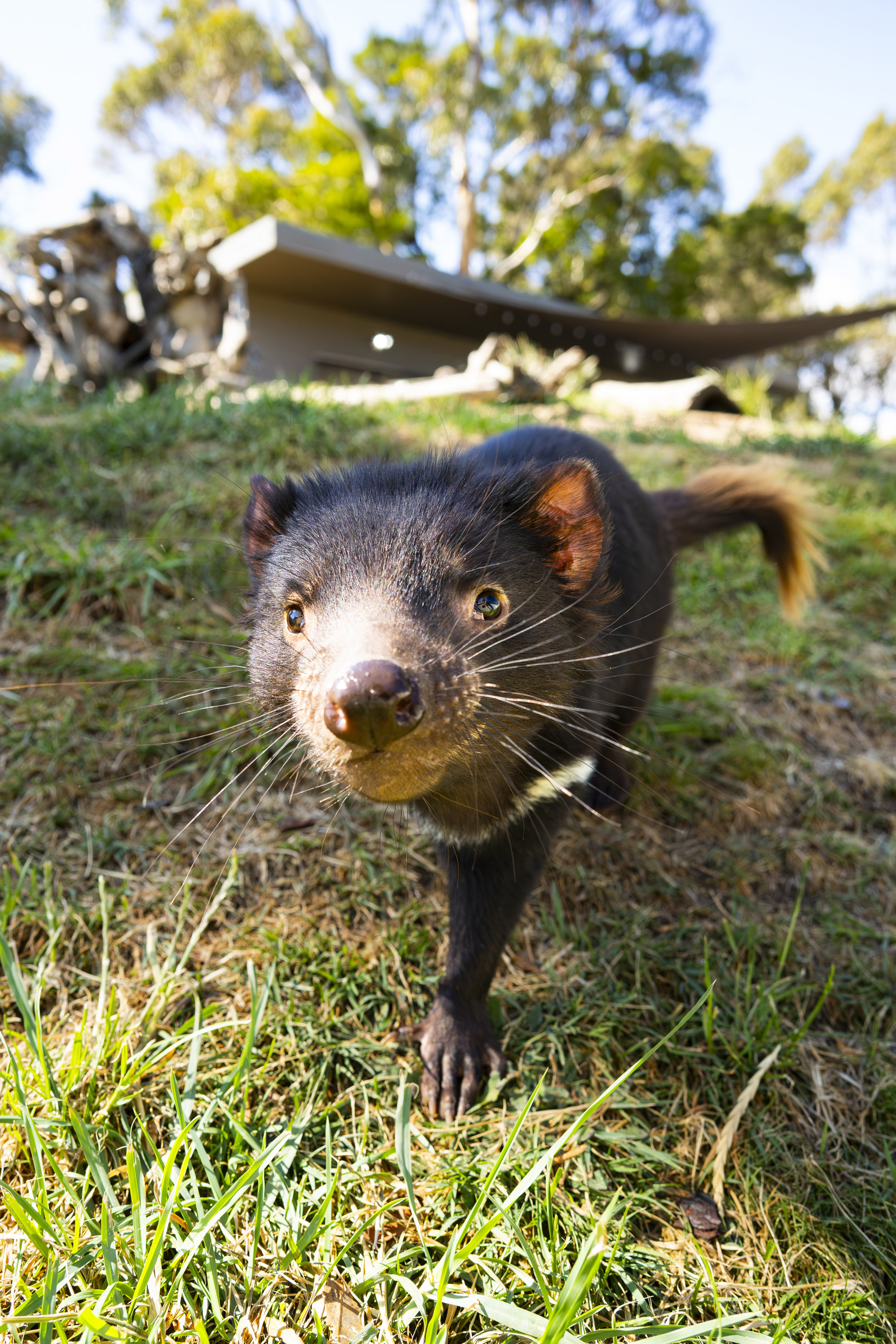 Image: Mike O'Connor