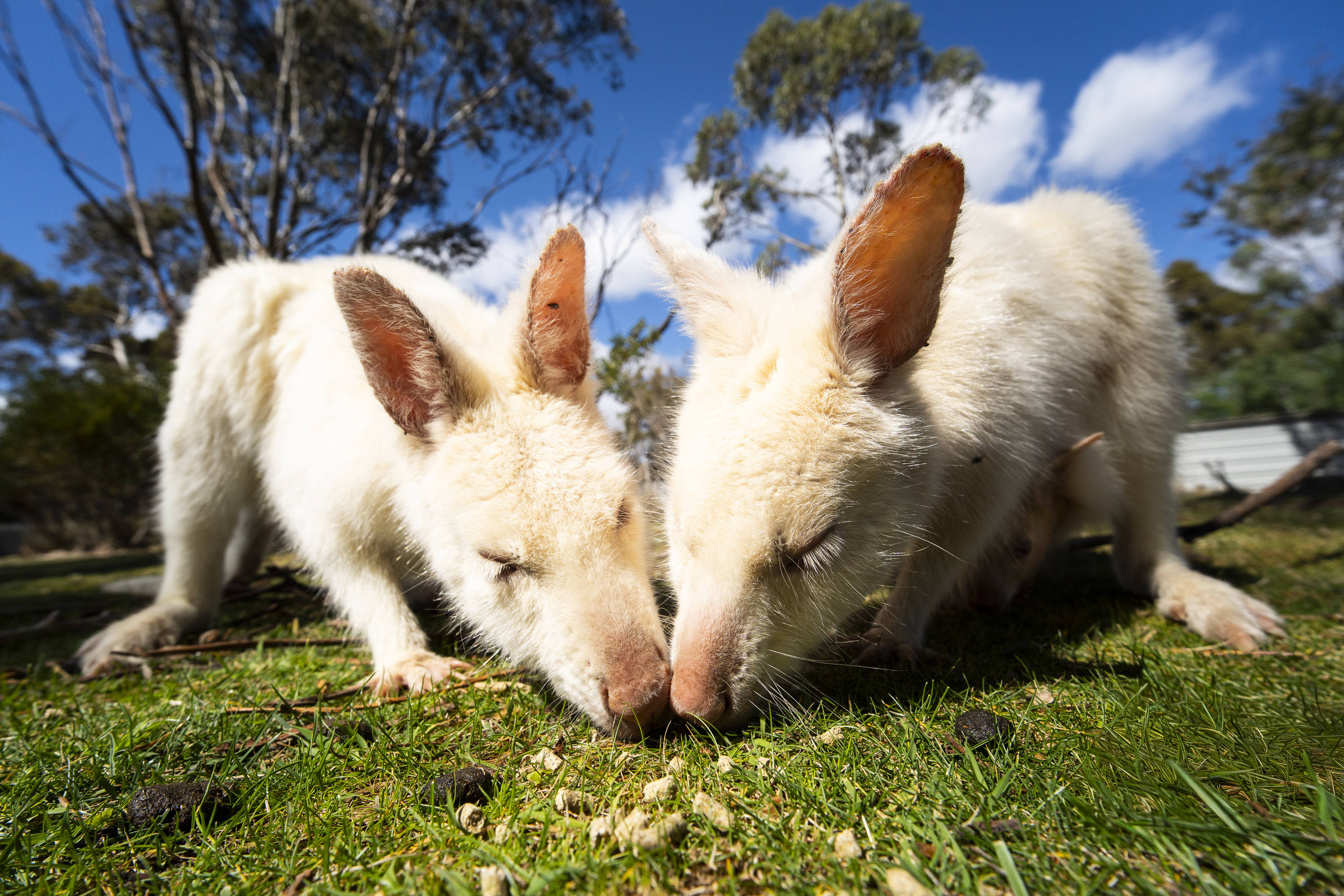 Sony A7 IV, Viltrox 14mm F4.0 FE lens. 1/2000s @ f5.6, ISO 320.