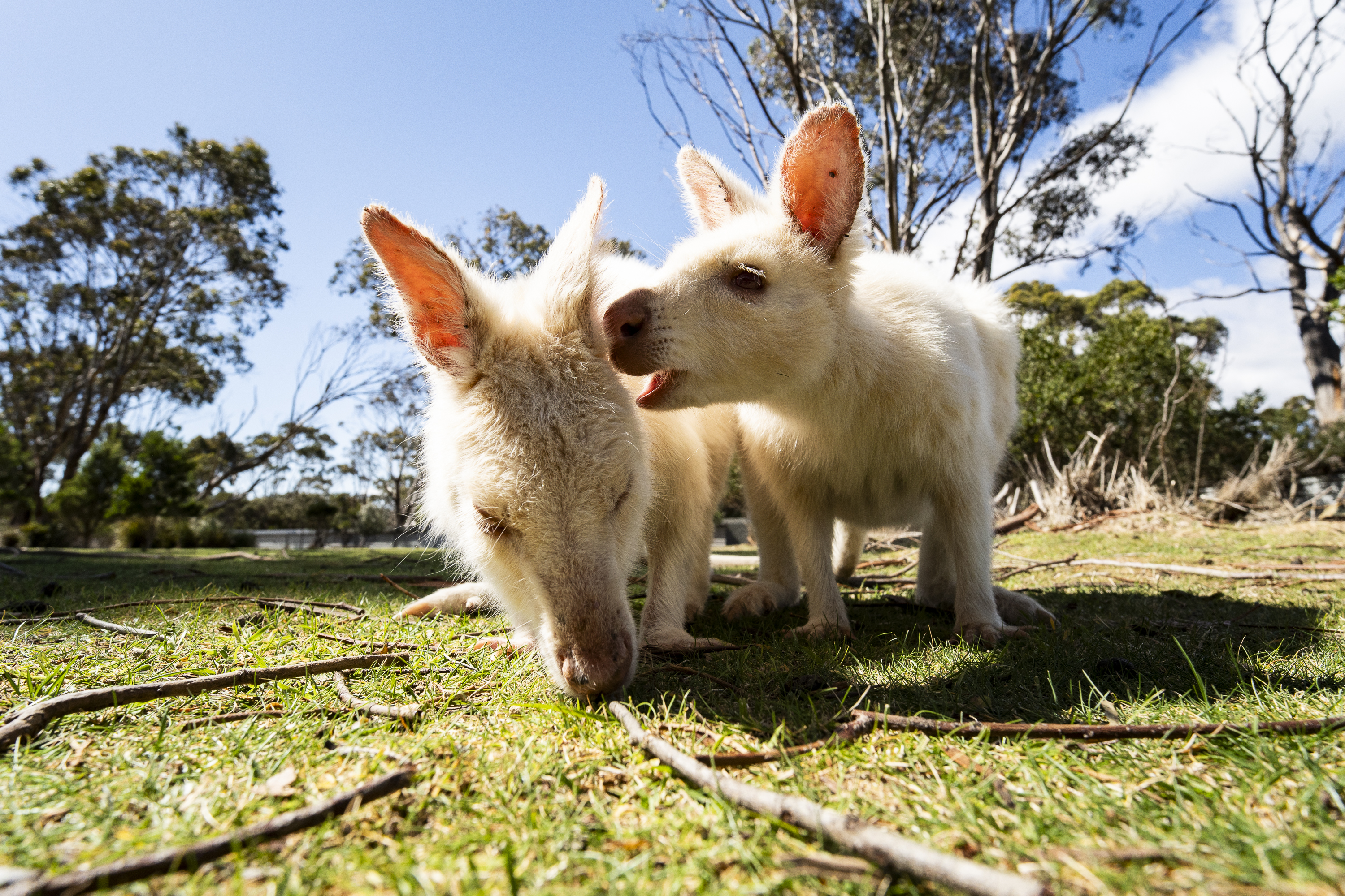 Sony A7 IV, Viltrox 14mm F4.0 FE lens. 1/2000s @ f5.6, ISO 500.