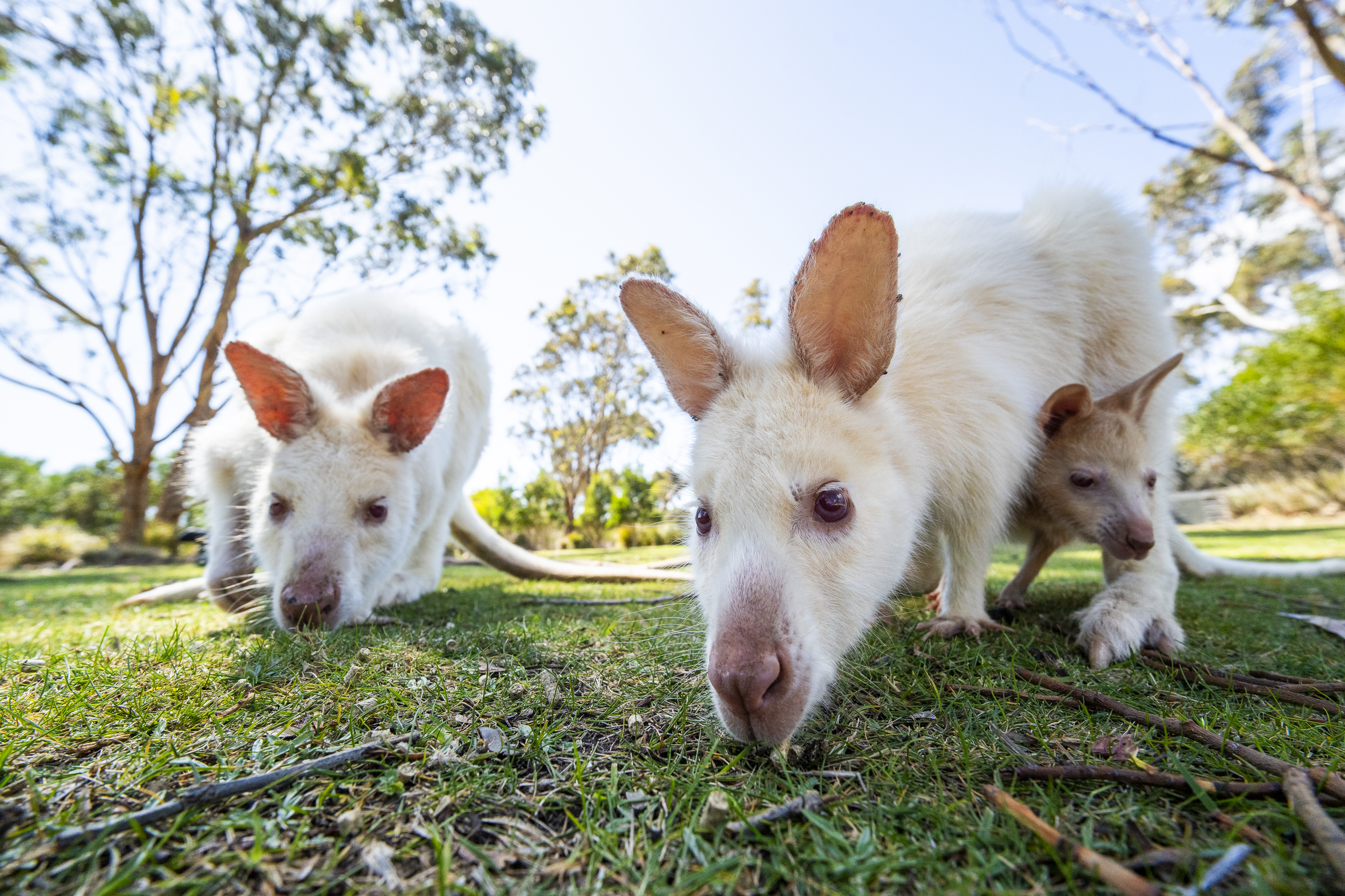 Sony A7 IV, Viltrox 14mm F4.0 FE lens. 1/2000s @ f5.6, ISO 200.
