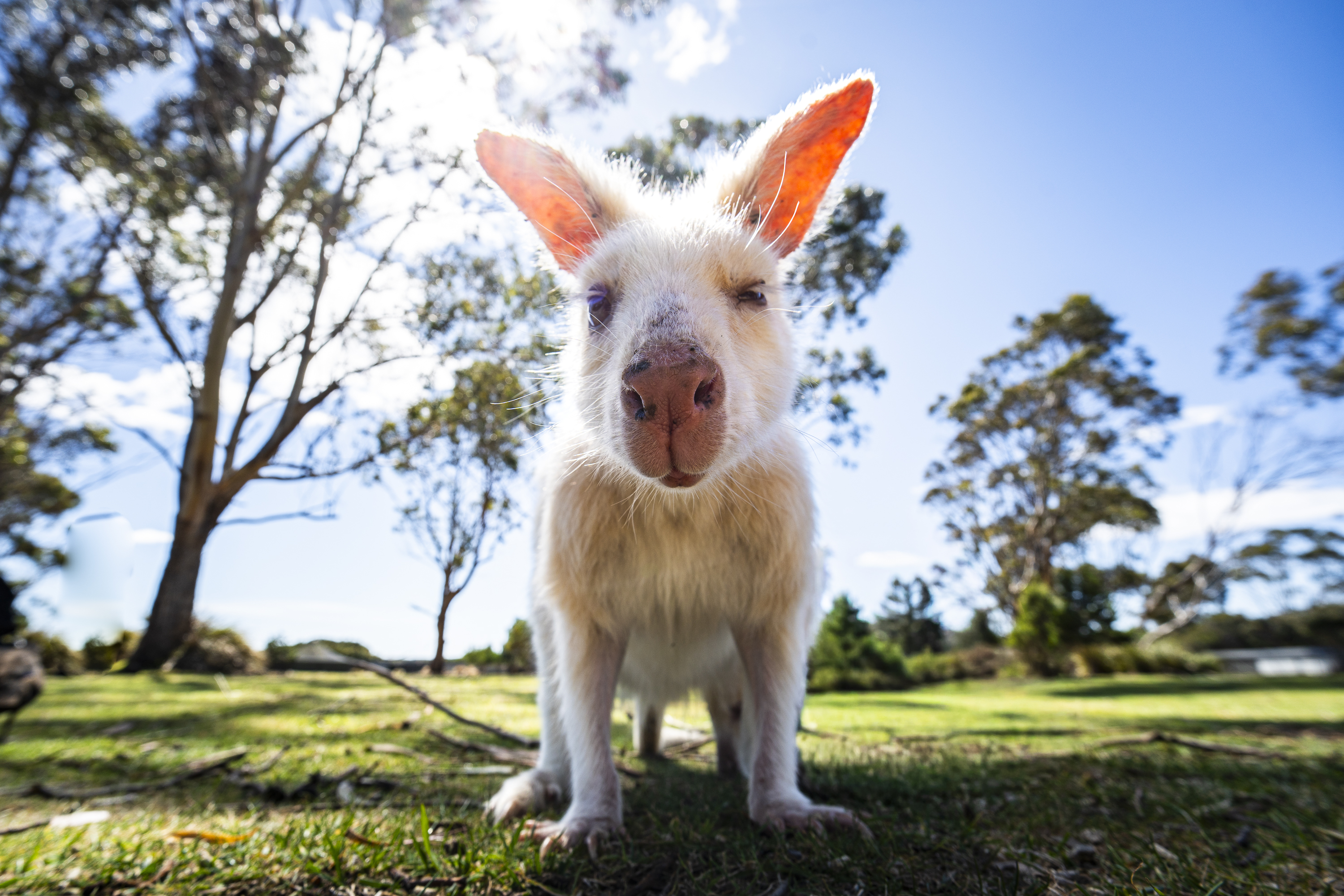 Sony A7 IV, Viltrox 14mm F4.0 FE lens. 1/320s @ f5.6, ISO 64.