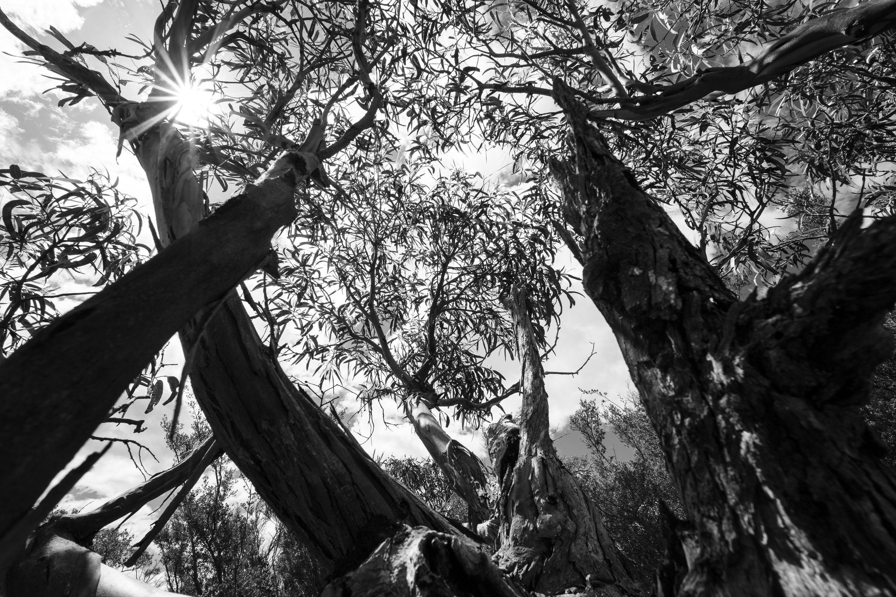 Sony A7 IV, Viltrox 14mm F4.0 FE lens. 1/320s @ f11, ISO 200.