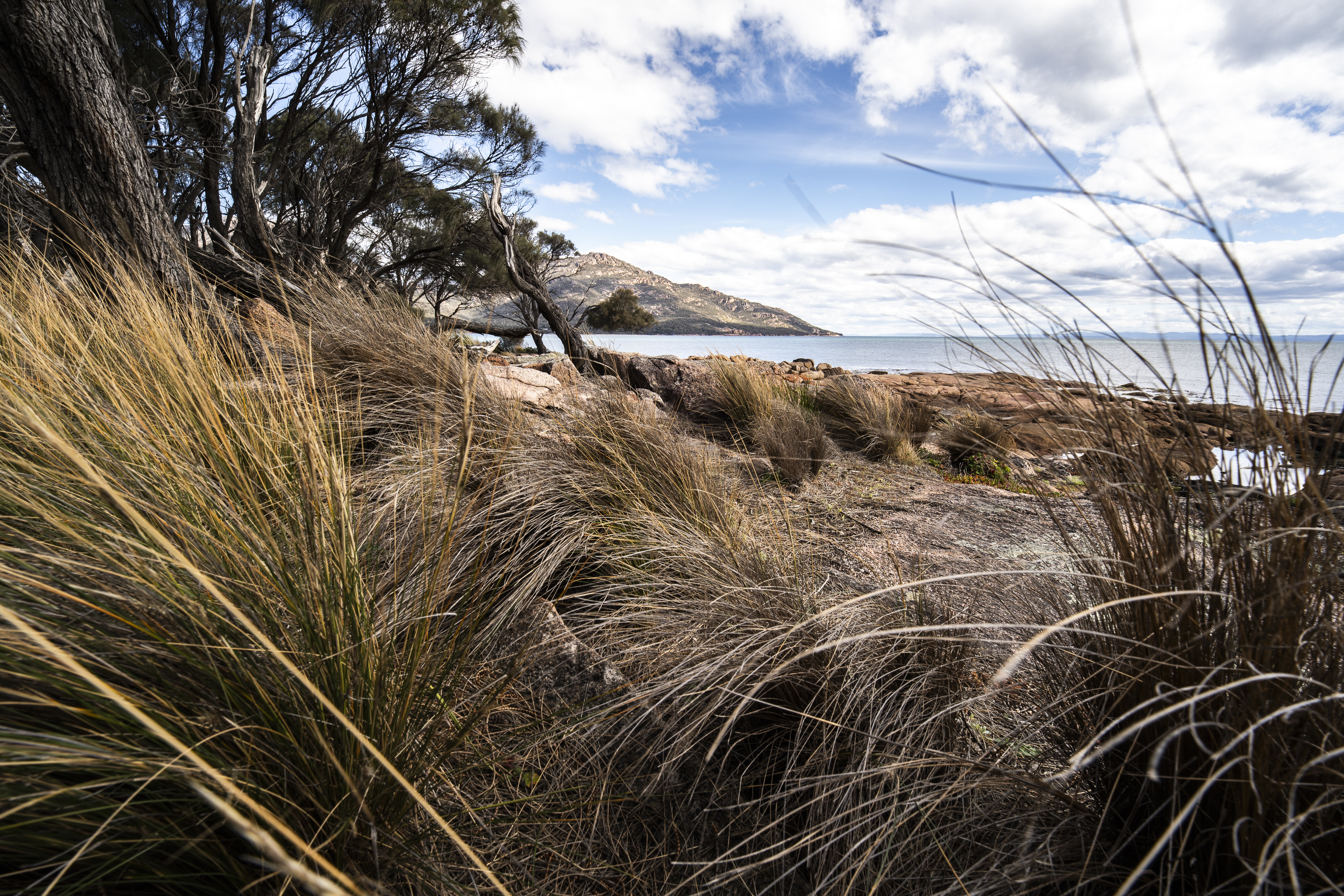 Sony A7 IV, Viltrox 14mm F4.0 FE lens. 1/200s @ f11, ISO 200.