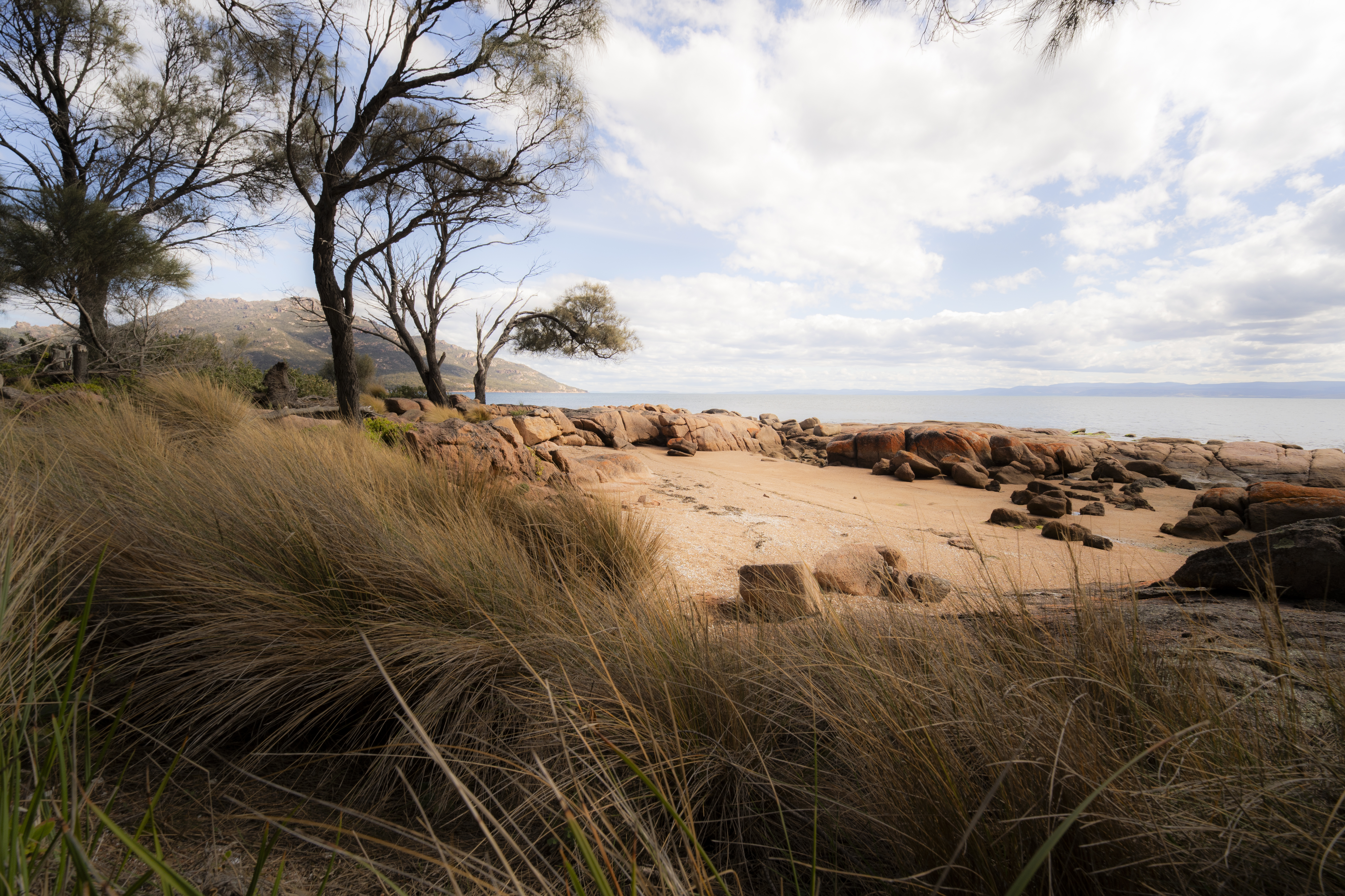 Image: Mike O'Connor