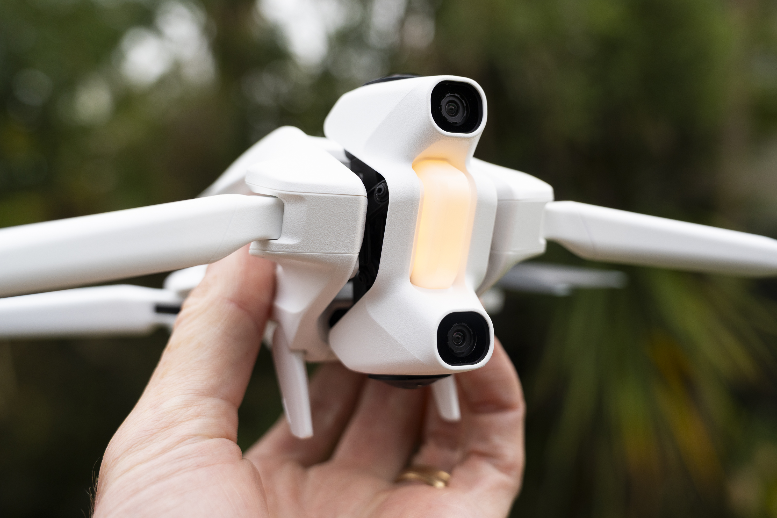 Image: Mike O'Connor