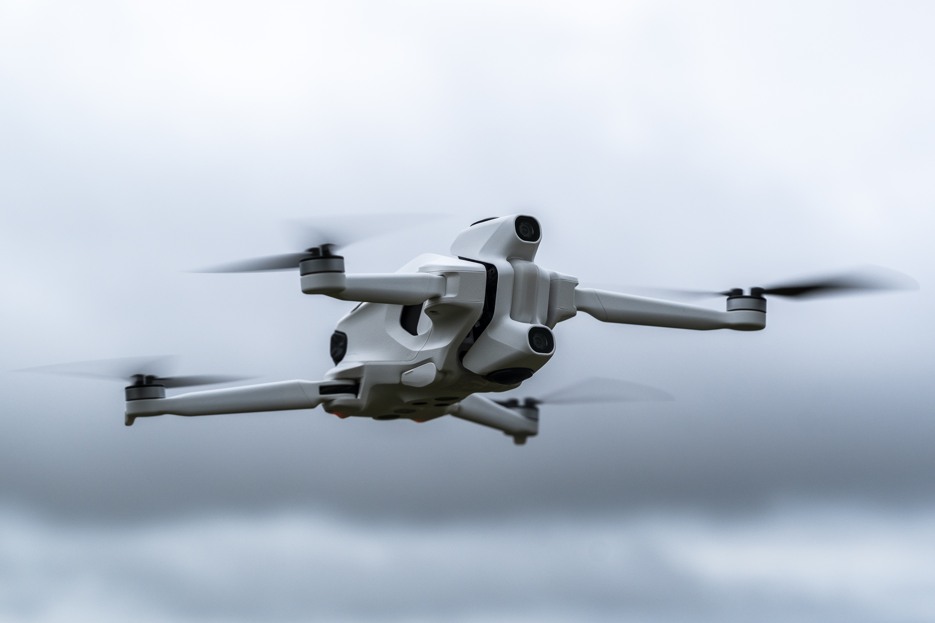 Image: Mike O'Connor