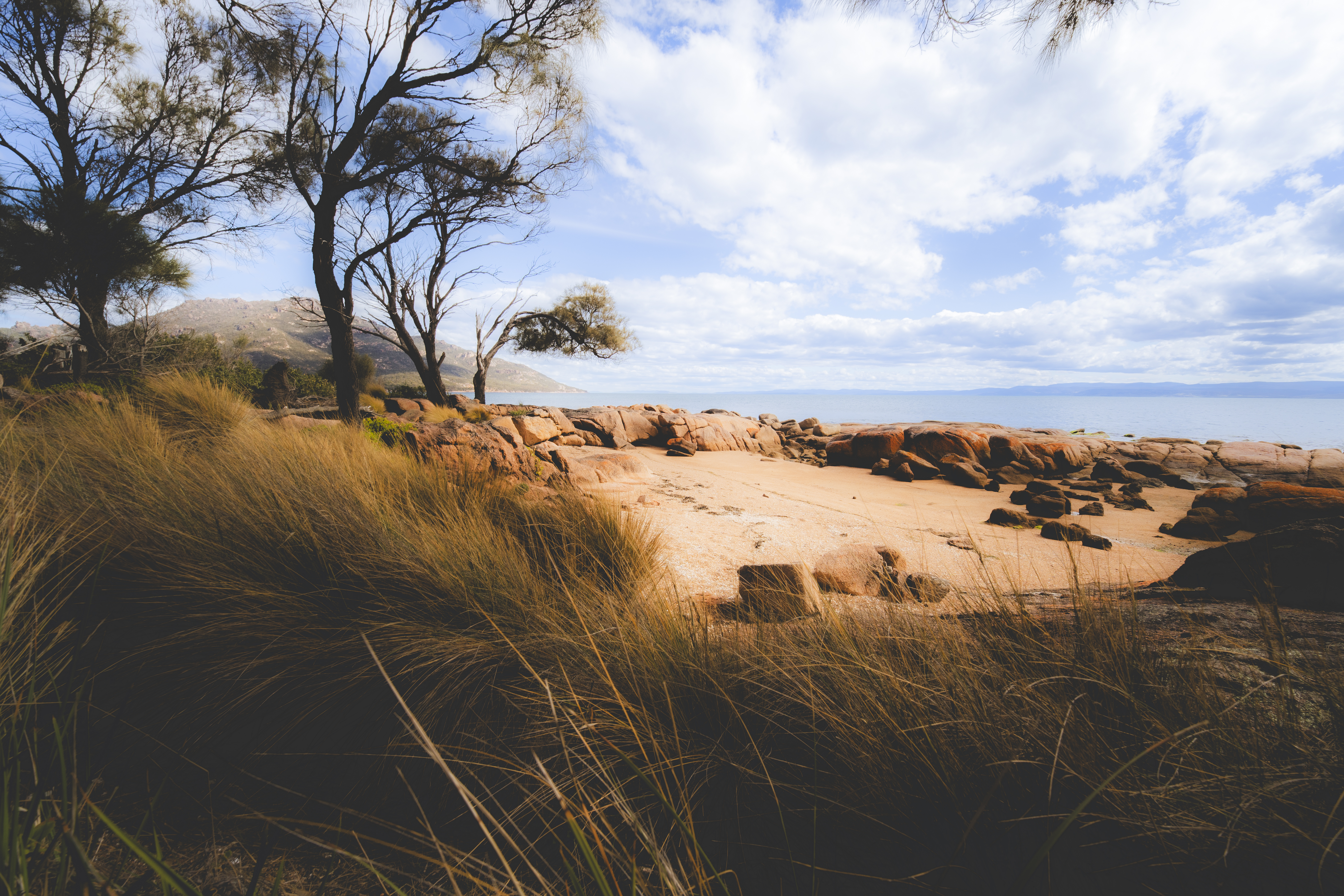 Image: Mike O'Connor