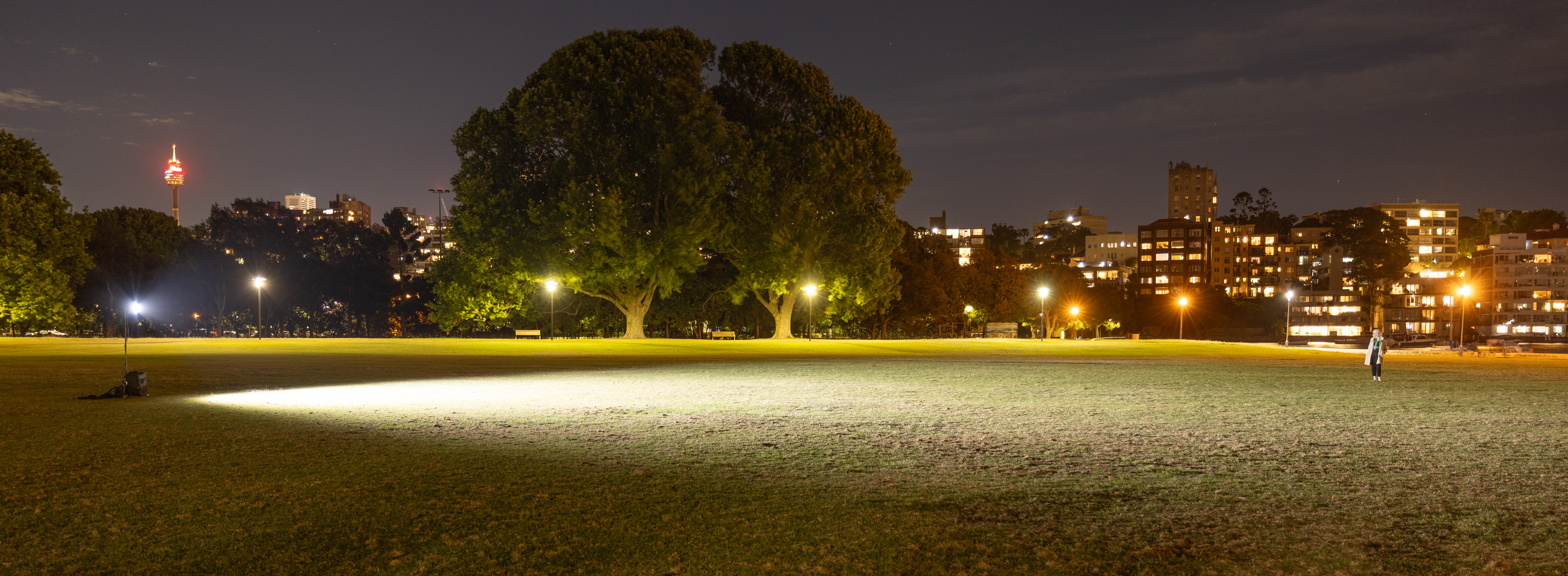 Two seconds @ f/2.8, 200ISO @ 24mm. The subject was placed in almost complete darkness, and you can see the light falloff on the grass surface. Image: Tim Levy