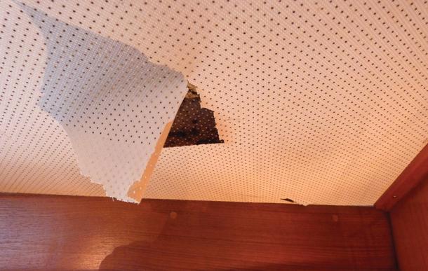 Head start: make your own headliner - MySailing.com.au