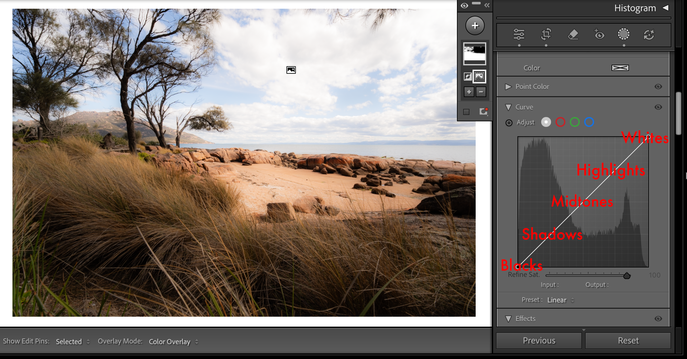 Image: Mike O'Connor