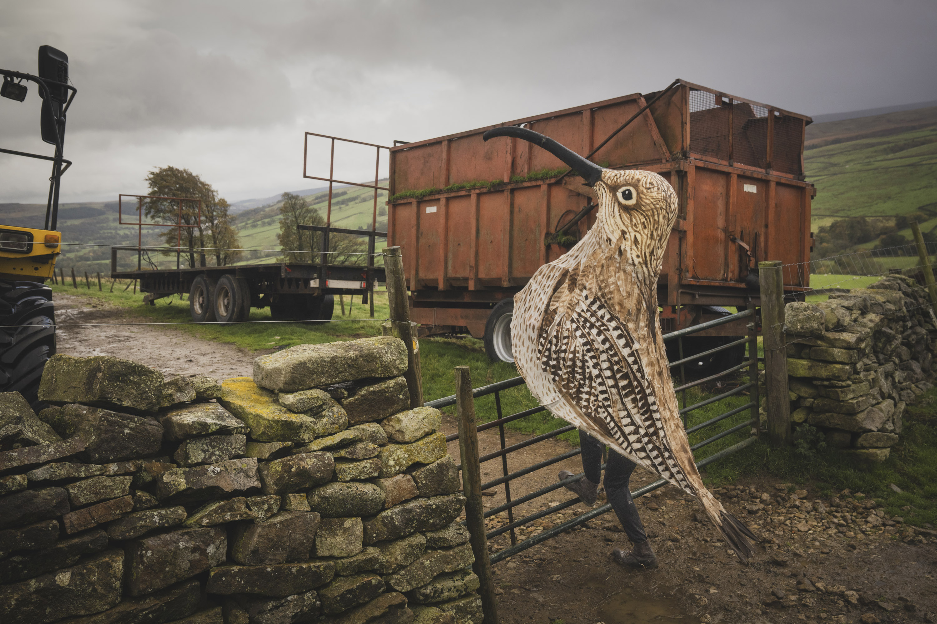 Curlew Man - Morgan Heim. Raising awareness of curlew conservation, United Kingdom, 2025