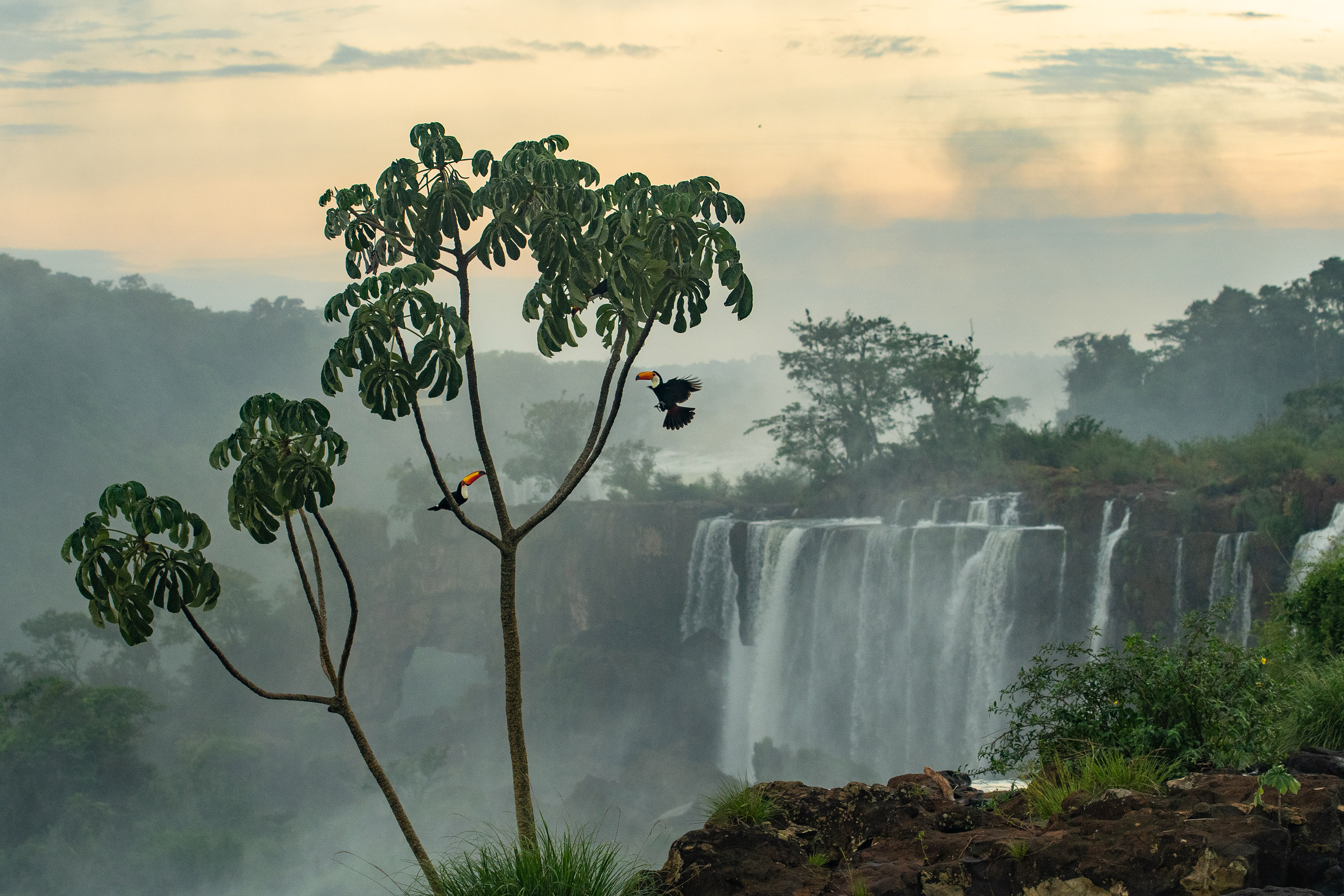 Spirits of the Falls - Arnaud Farré. Iguazu Falls, Argentina and Brazil, 2024