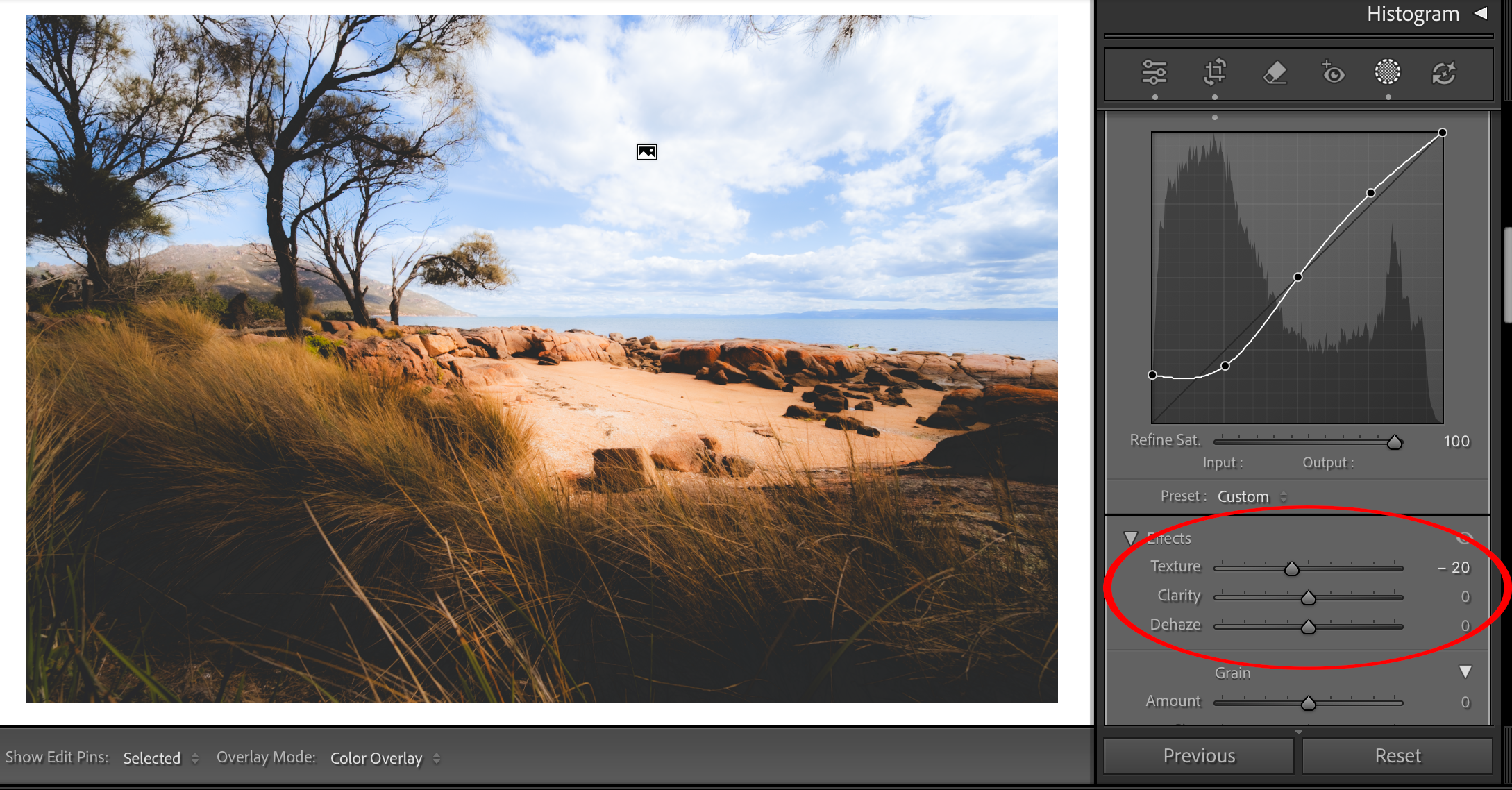 Image: Mike O'Connor