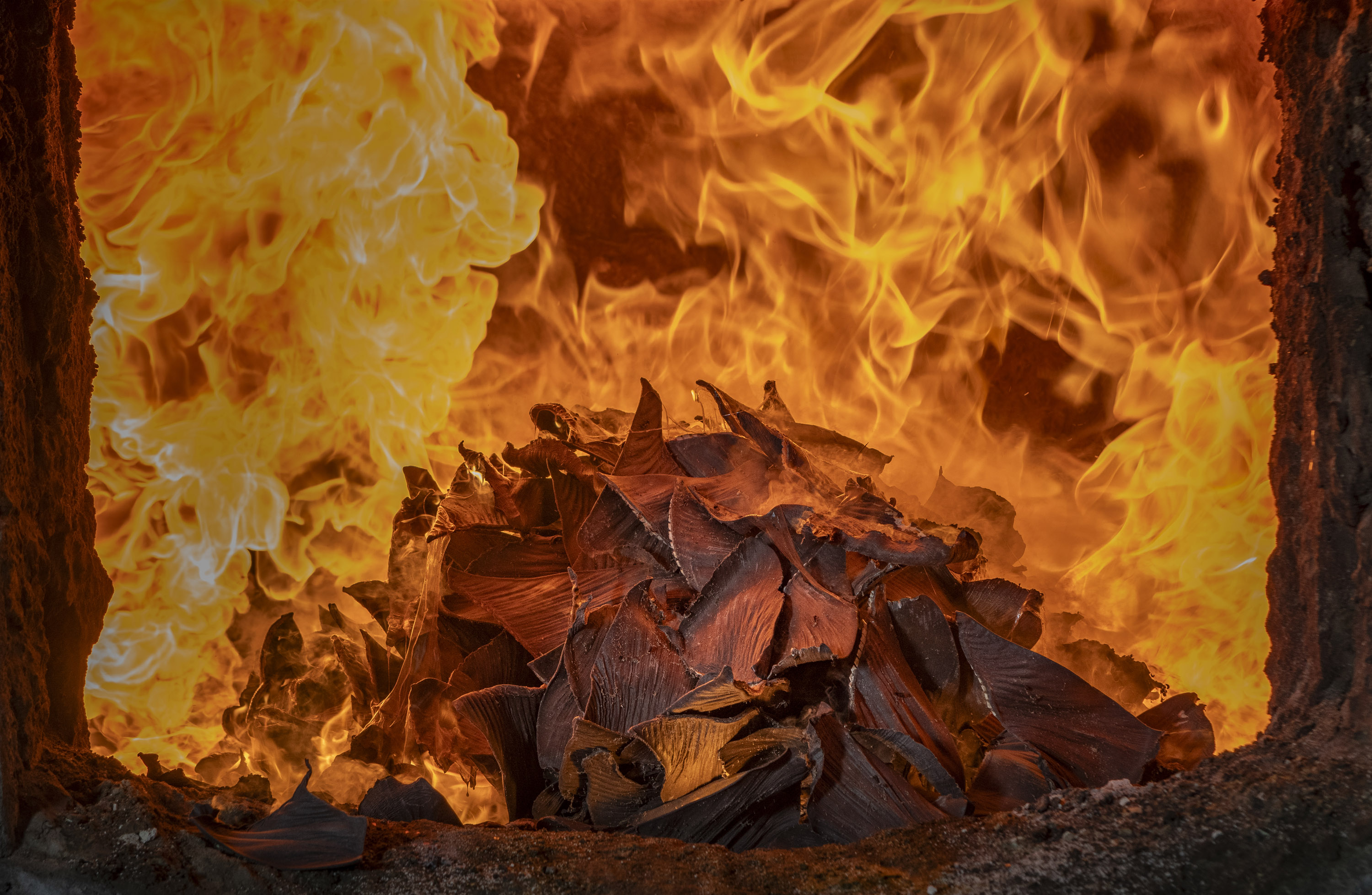 Born for the Ocean, Fated to the Flames - Fernando Faciole. Incineration of shark fins after seizure, Brazil, 2025