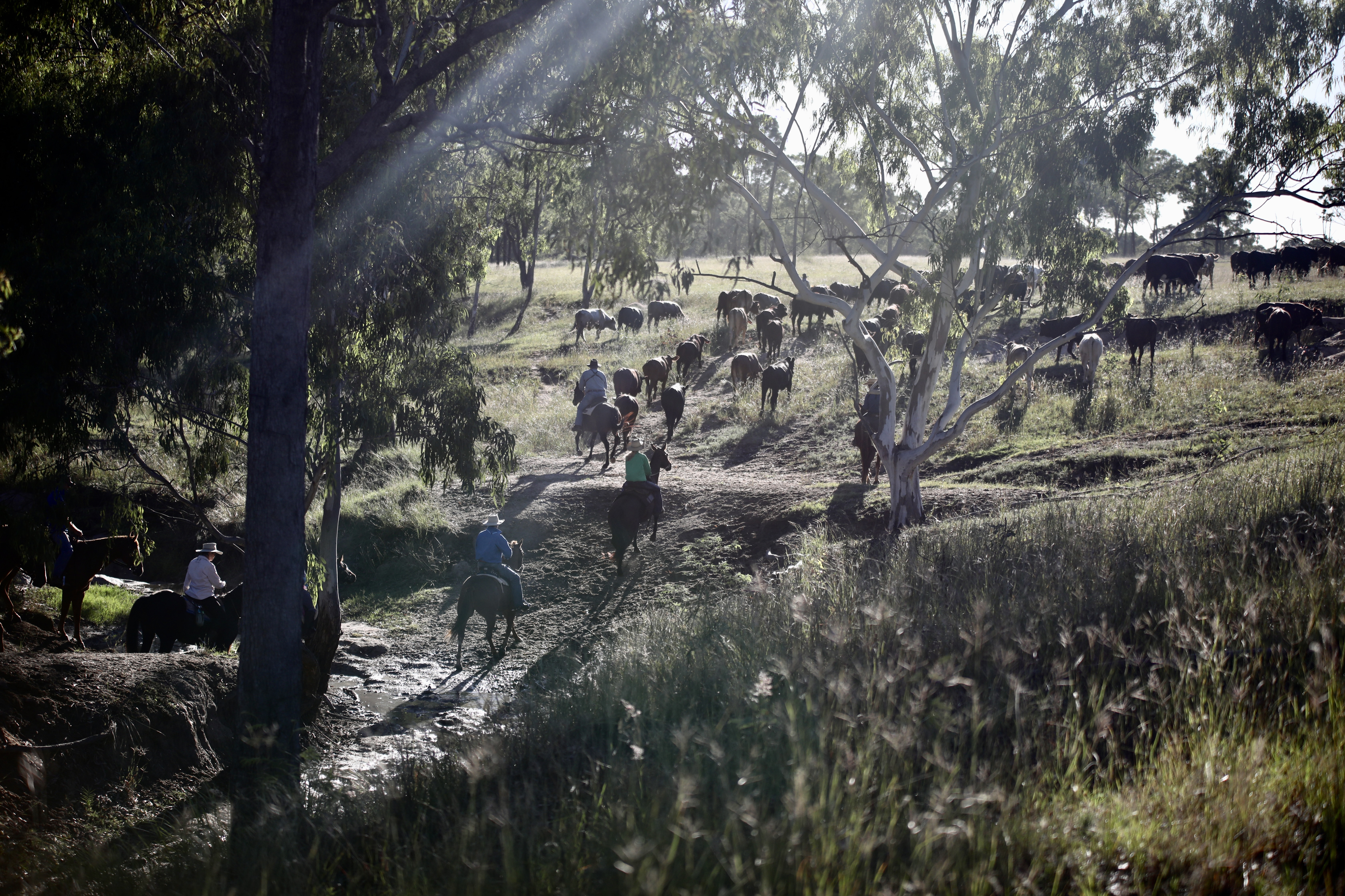 Image: Paula Heelan/supplied