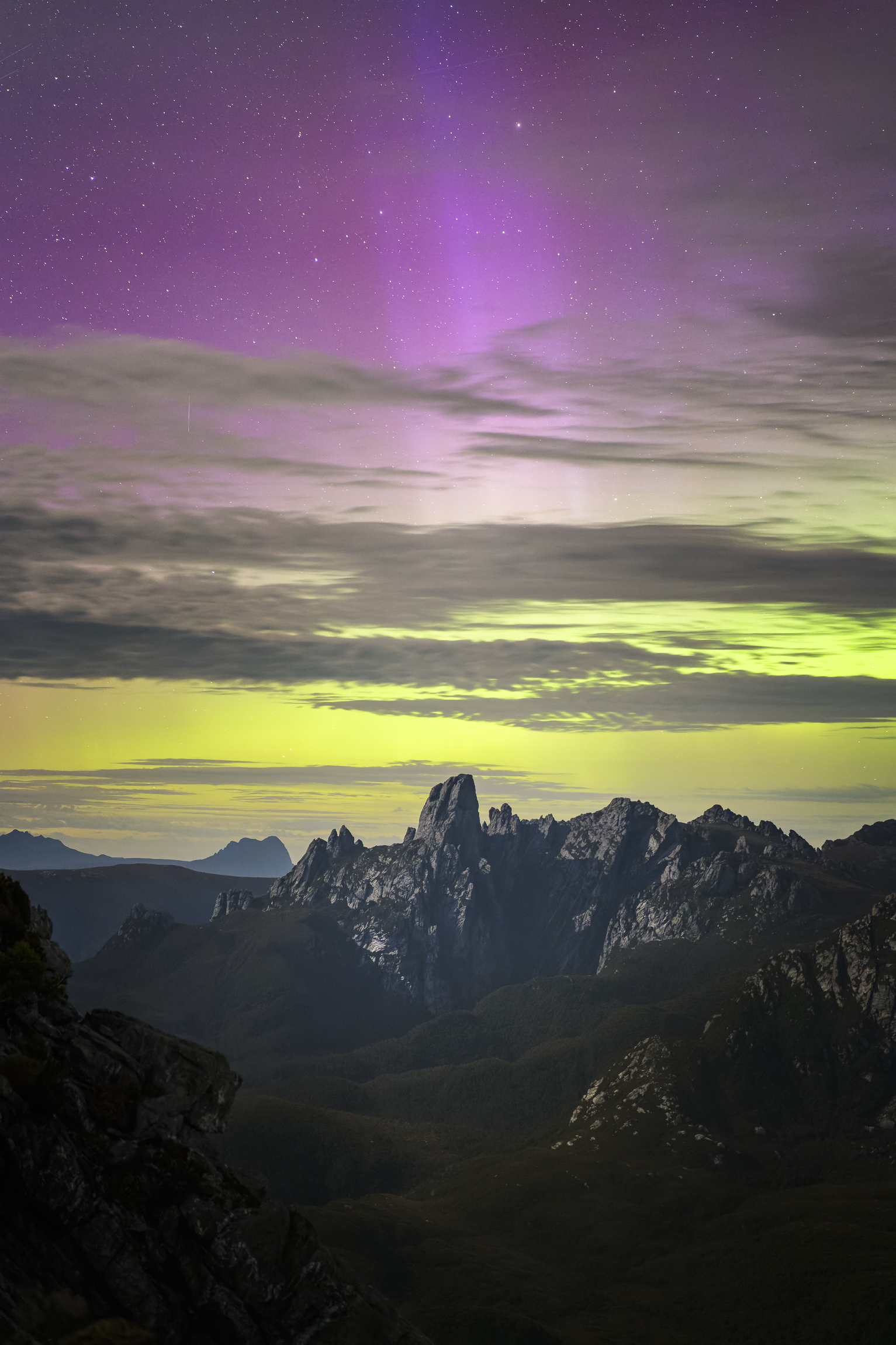 Image: Luke Tscharke/supplied