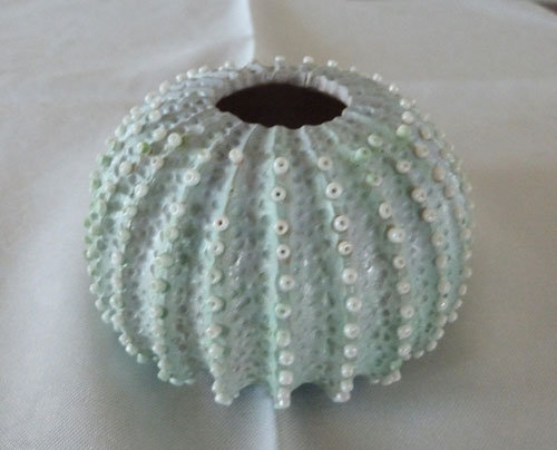 Second Place: Warrick King, Sea Urchin