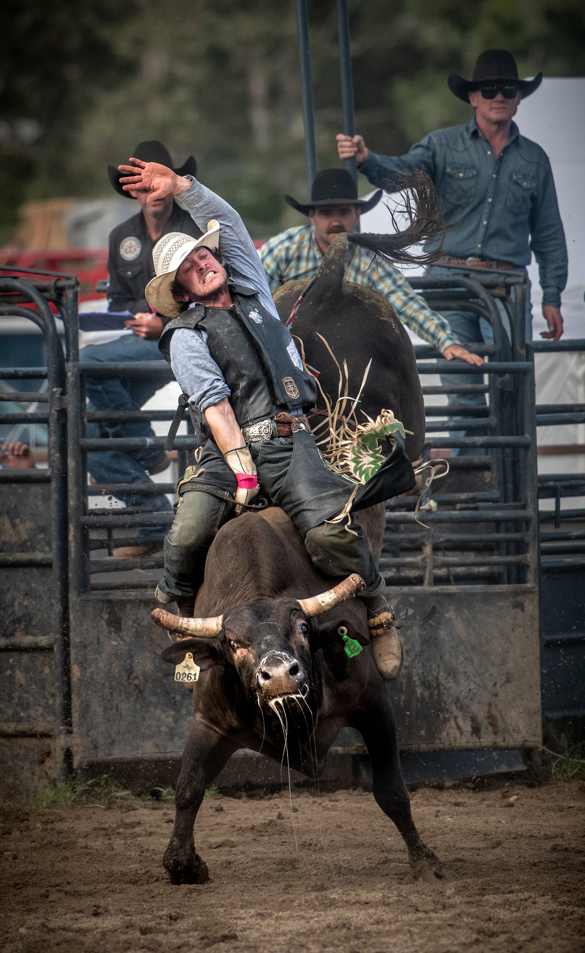 Rob Wood, Rodeo rider