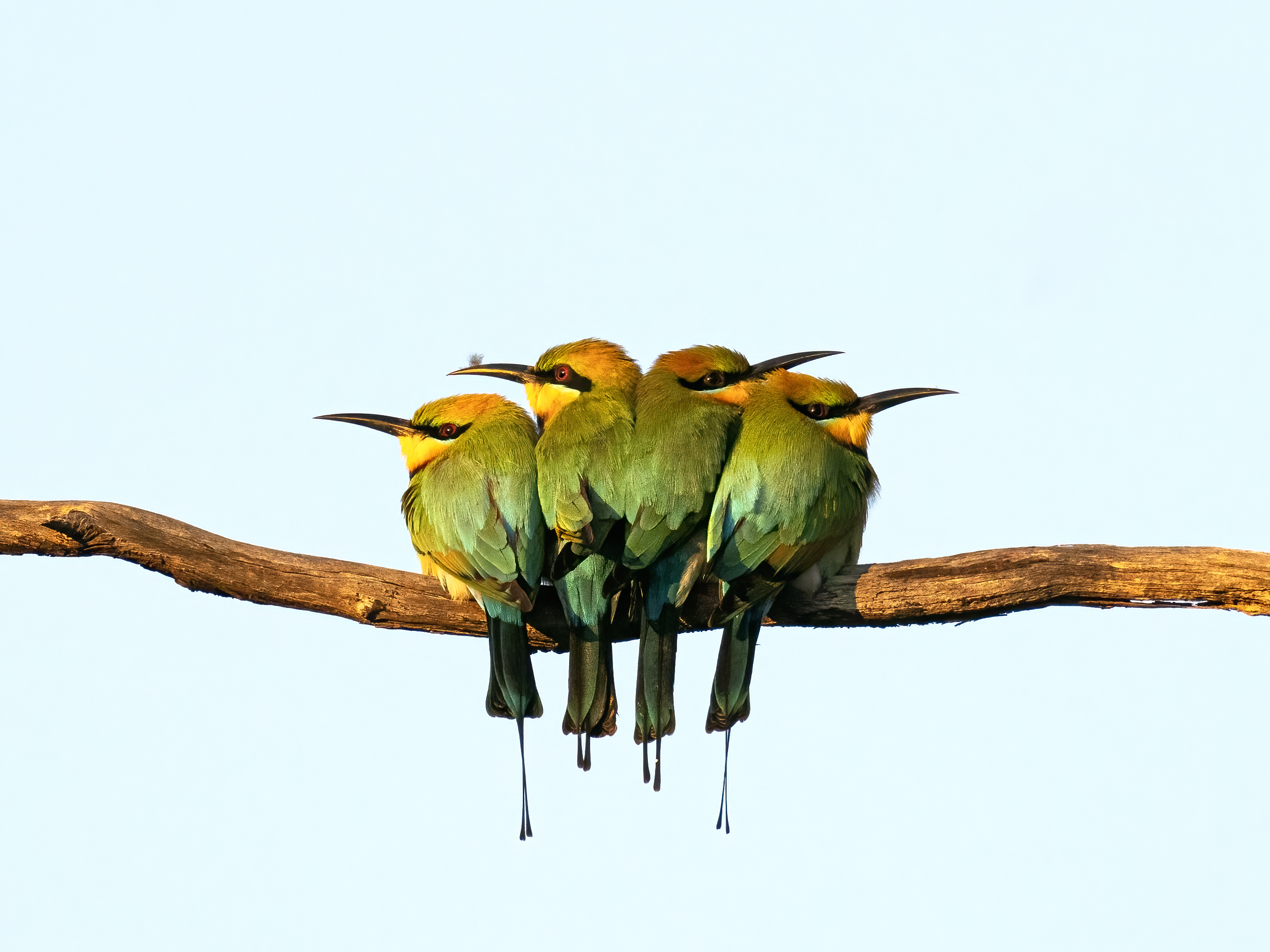 Image: Sandy Goddard