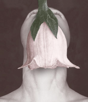 alt text for this image