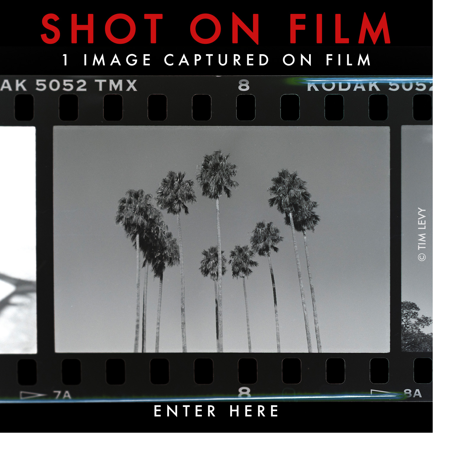 single-shot-enter.jpg