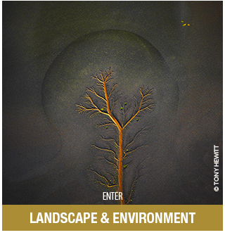 Documentary and Street