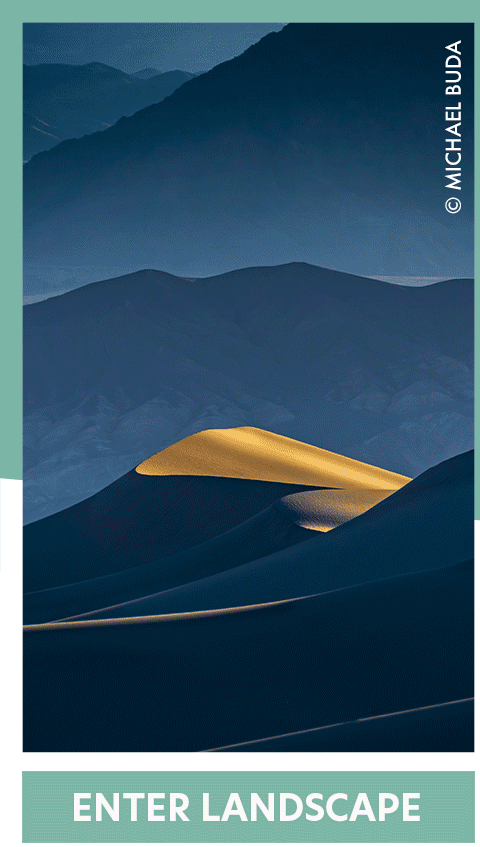 THE MONO AWARDS PEOPLE