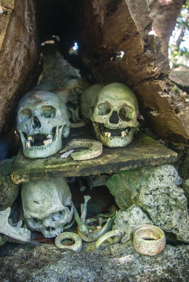 Toothy smiles at Skull Island.