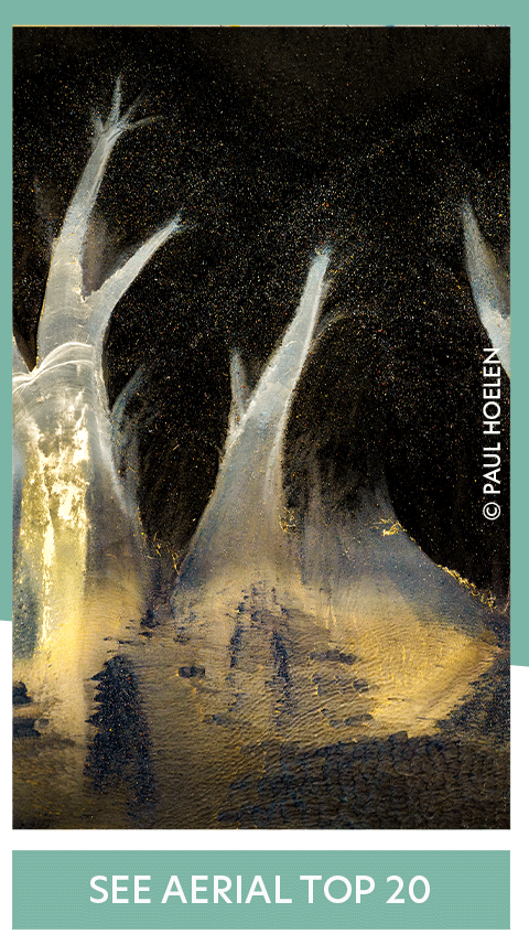 top-20s_03.gif
