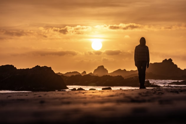 Tarkine wilderness. Tourism Tas