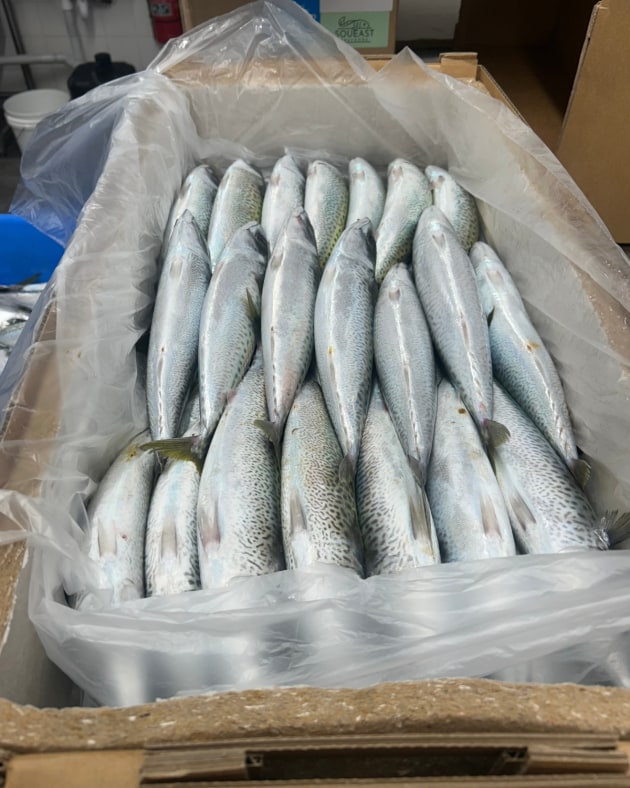 Soueast said the trial delivered both product protection and operational benefits.