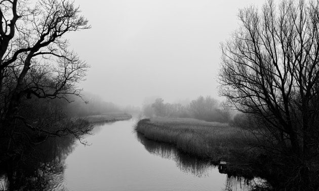 Jens Petersen, Germany, First Place - Landscape. Lübeck Amazonas
Trave River, Lübeck, Shot on iPhone 15 Pro