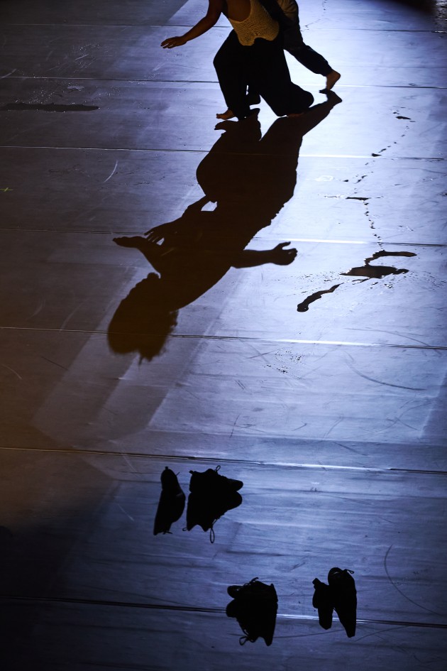 Concrete Echoes 2026. Strut Dance