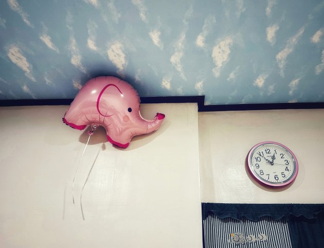 Leo Huang, Taiwan, First Place - Lifestyle. Who lost the elephant balloon? Yilan, Taiwan, Shot on iPhone 14 Pro