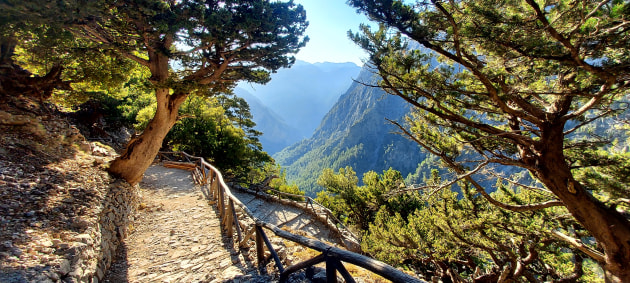 The trail is clear and well laid out.