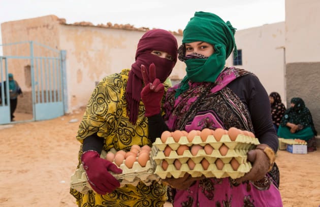 EMMA BROWN (UK) COLLECTING EGG RATIONS, SMARA REFUGEE CAMP