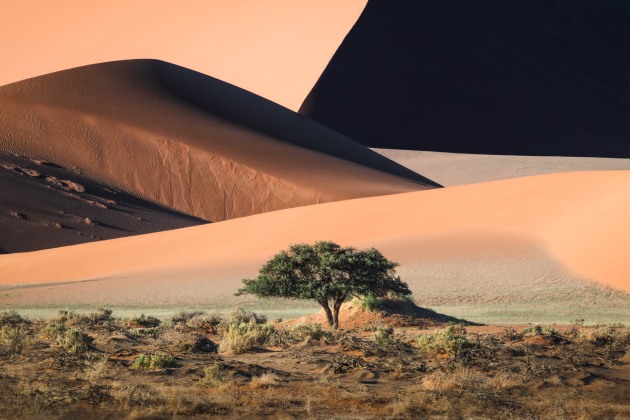 An early morning glow brings out the rich pastel colours of the Sossusvlei dunes in Namibia. The contrast of the green and delicate peach colours almost overwhelms the senses; the patterns and textures emerging from the shadows give the landscape a distinctive, painterly look.
Copyright: © J Fritz Rumpf, United States, Winner, Open Competition, Landscape, Sony World Photography Awards 2026