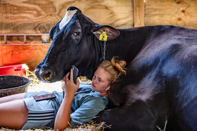 Charlotte lies with her cow Dolly, keeping cool in the cow barn between events at the 100th State Fair of West Virginia in Lewisburg. Outside, the temperature is upwards of 32°C.
Copyright: © Vanta Coda III, United States, Winner, Open Competition, Lifestyle, Sony World Photography Awards 2026