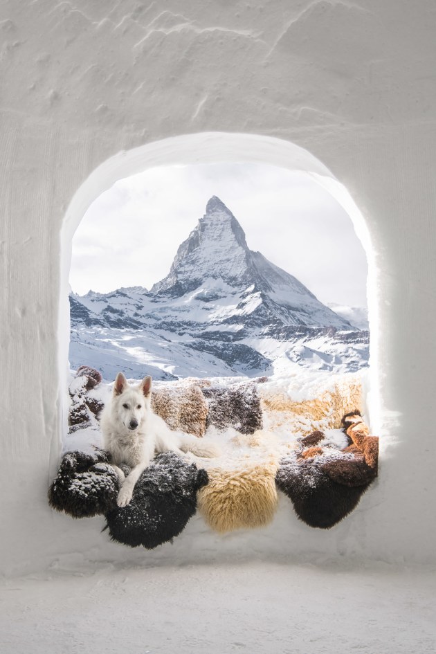 Photographer: Sylvia Michel, Switzerland
