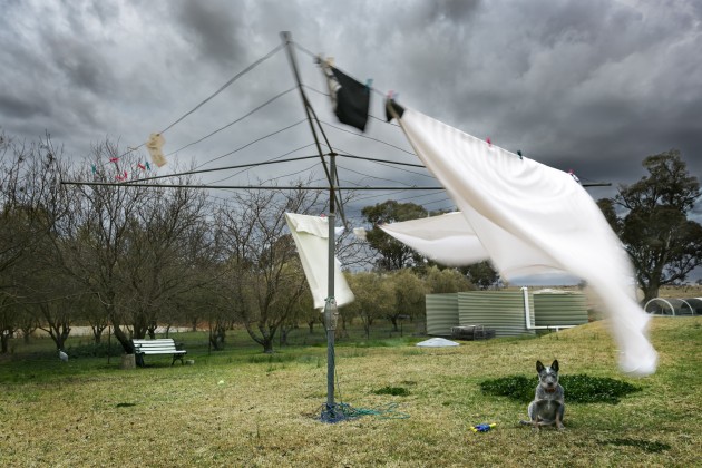 Julie Spencer, 7th, Urban category, The Landscape Awards 2025.