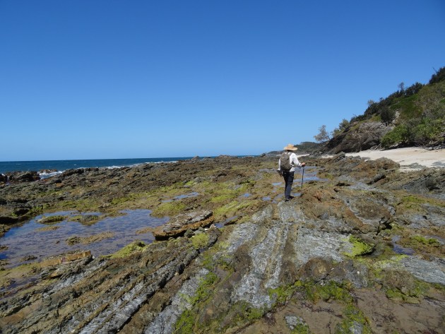 The coastal trail turns to grade 4 after Wooli with rocky terrain.