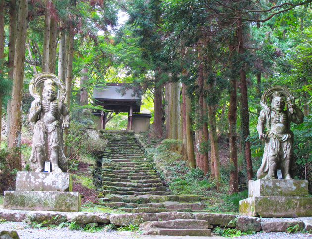 Ancient steps lead to amazing history.