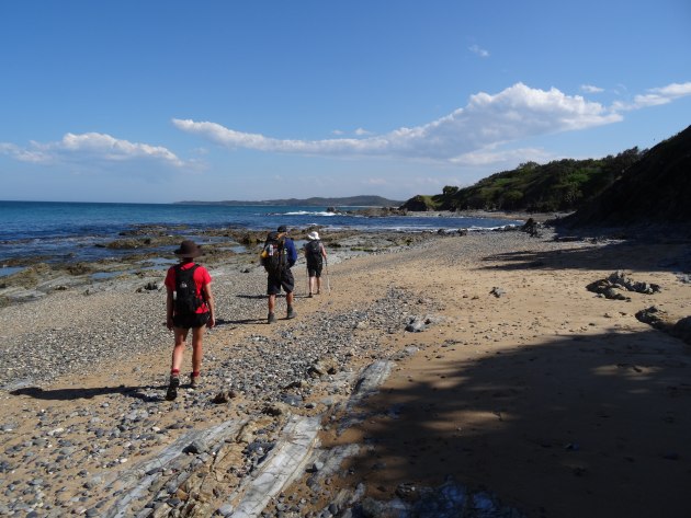 The pebbled sands of Minnie Water Back Beach.