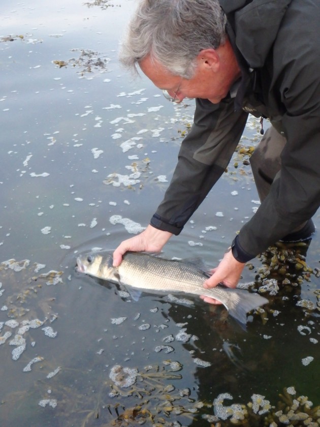 European bass row sees anglers come out fighting Fishing World