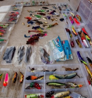 murray cod lures